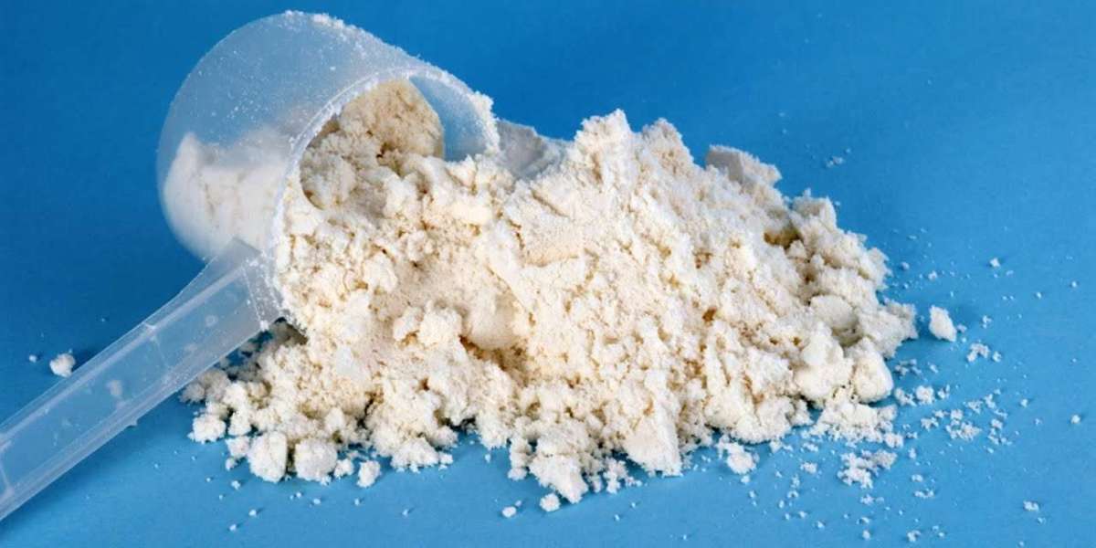 Casein Glycomacropeptide Market Potential Unlocking Hidden Value In Precision Nutrition And Clinical Applications