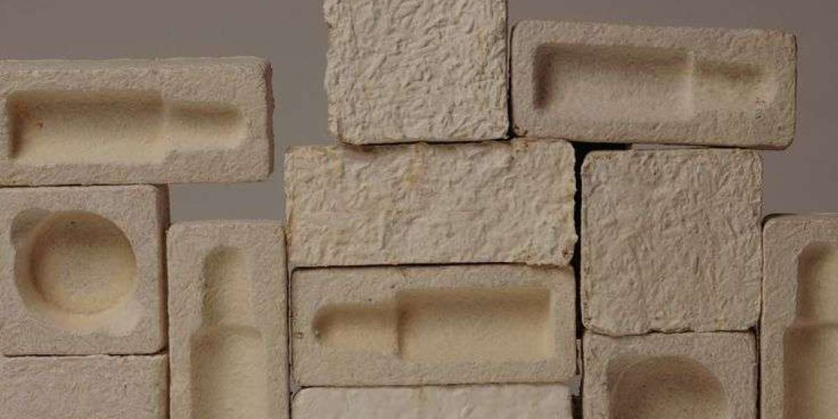 Mycelium Market Developments Create Fresh Avenues Reshaping Industrial Strategies And Resource Utilization Models