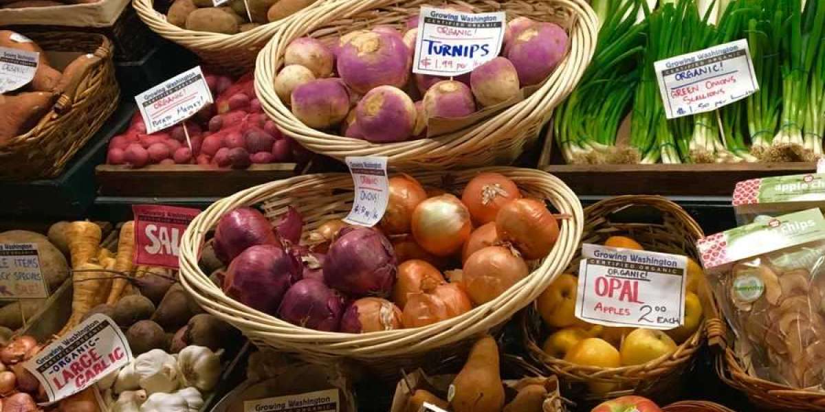 Organic Starch Market Research Global Trends Growth Drivers And Outlook Analysis Report 2026
