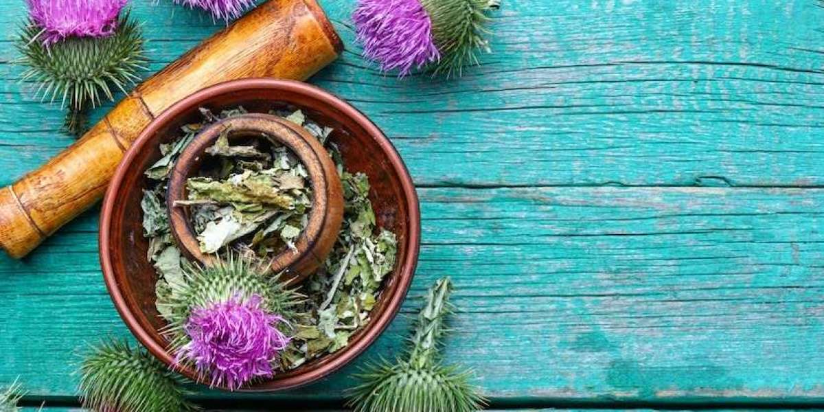 Milk Thistle Supplements Market Potential Insight Driven Shift In Milk Thistle Supplements For Liver Health Growth Trend