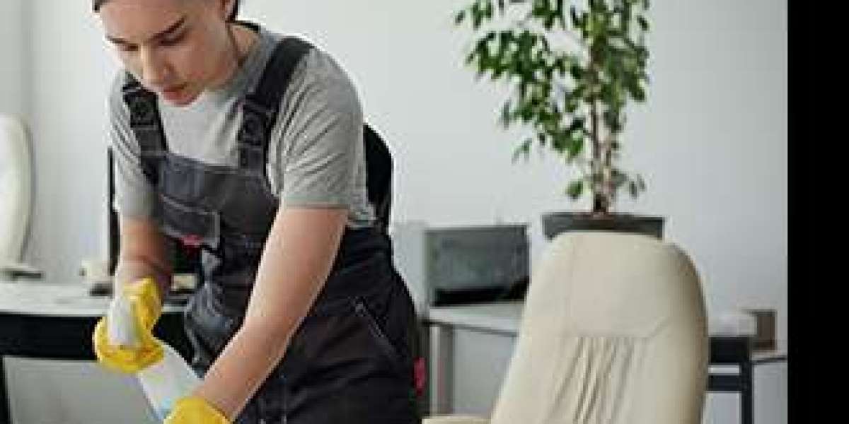 Comprehensive System-Based Professional Cleaning Services for Large-Scale Hygiene Regulation