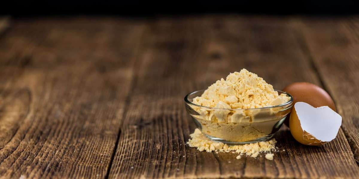 Dried Eggs Market Scope Reveals Surprising Industrial Growth Driving Food Innovation Worldwide
