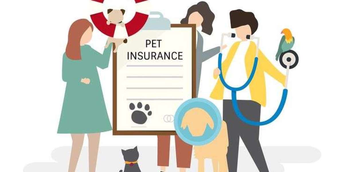 Pet insurance Market Opportunities: Growth Trends, Drivers, Innovations,  Future Industry Outlook Analysis