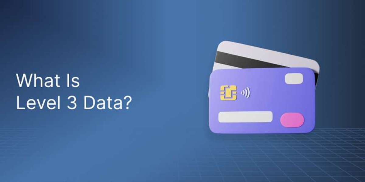 What Is Level 3 Data? (And Why It Matters for B2B Payments)