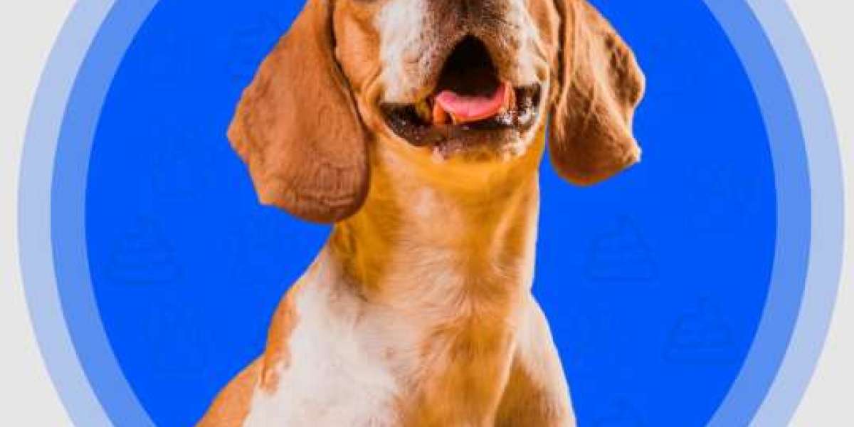 Trusted Dog Pooper Scooper Solutions for Every Backyard