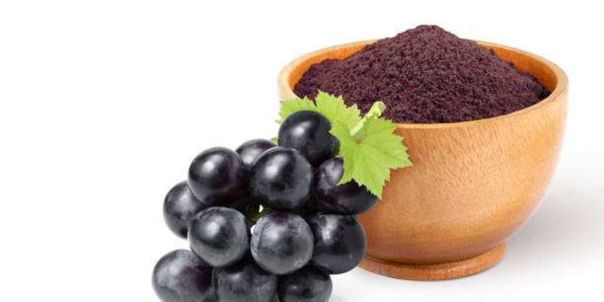 Grape Skin Extract Market Insights Reveals Hidden Power In Grape Skin Extract Benefits Driving Wellness Demand