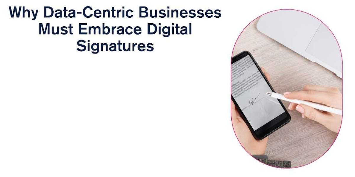 Why Data-Centric Businesses Must Embrace Digital Signatures