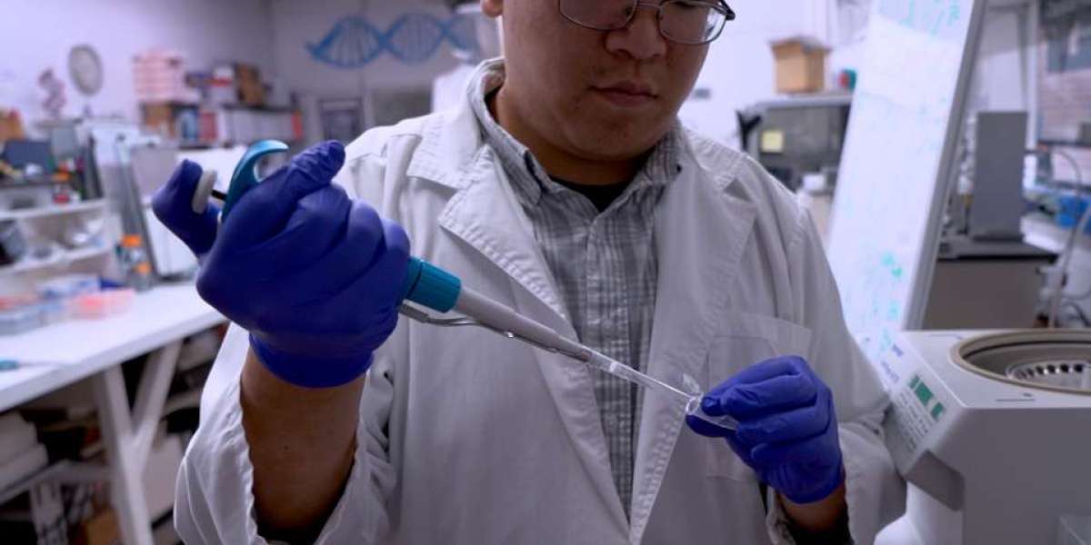 Aptamer Market Overview Unlocking Growth Trends With Aptamer Based BioSensor Innovations