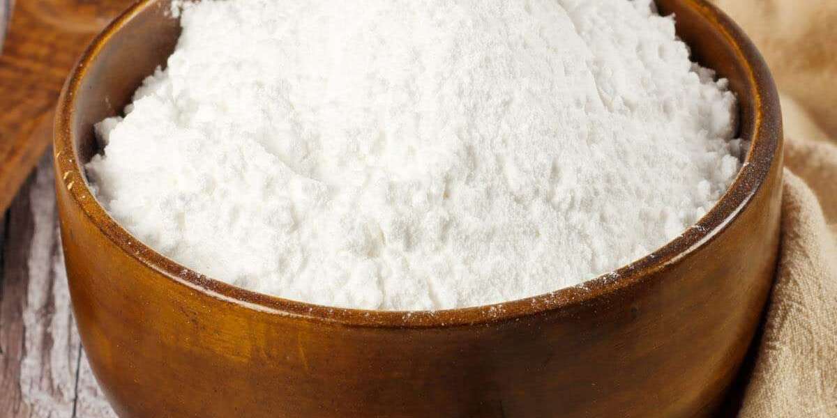 Native Starch Market Forecast Reveals Surging Native Starch Market Growth Driven By Clean Label Demand And Innovation