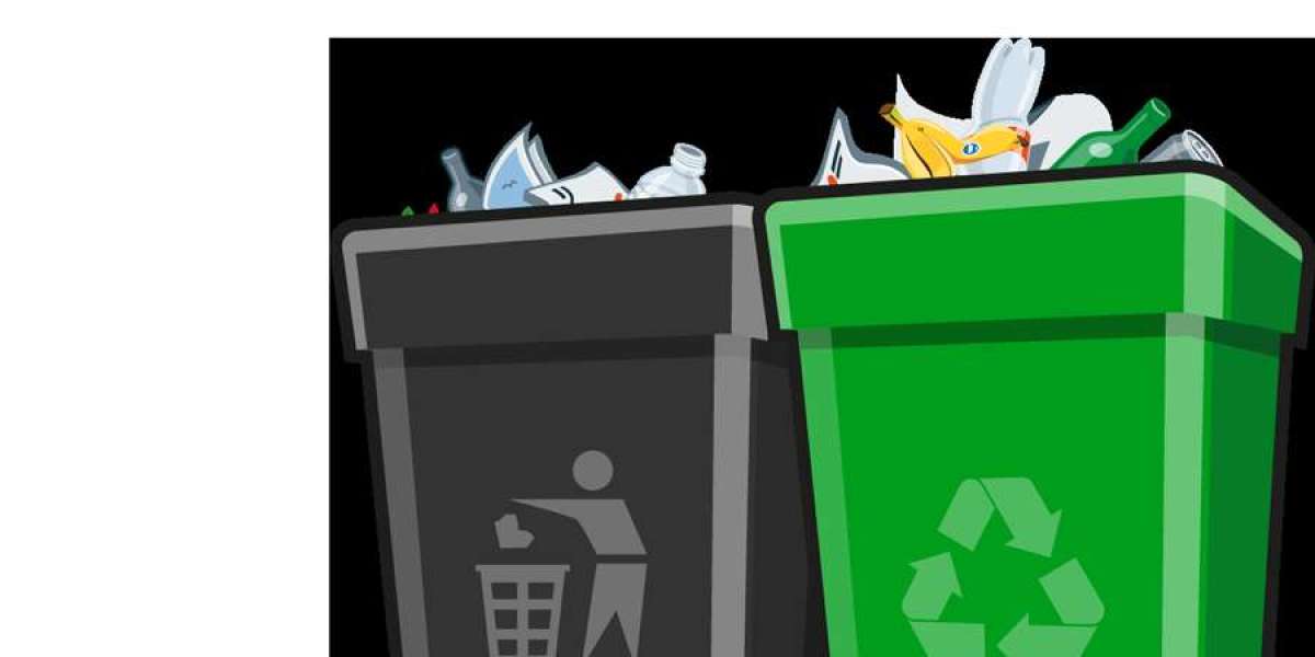 Professional Trash Bin Cleaner Services for a Hygienic Home