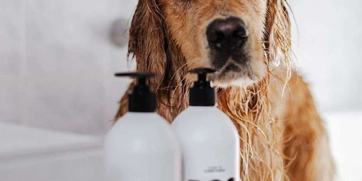 Pet Shampoo Market Emerging Trends shaping global grooming industry growth outlook 2026 analysis insights