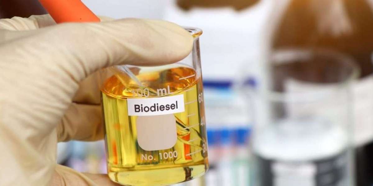 Biodiesel Market Hindrances Challenging Global Adoption  Slowing Industry Expansion Growth
