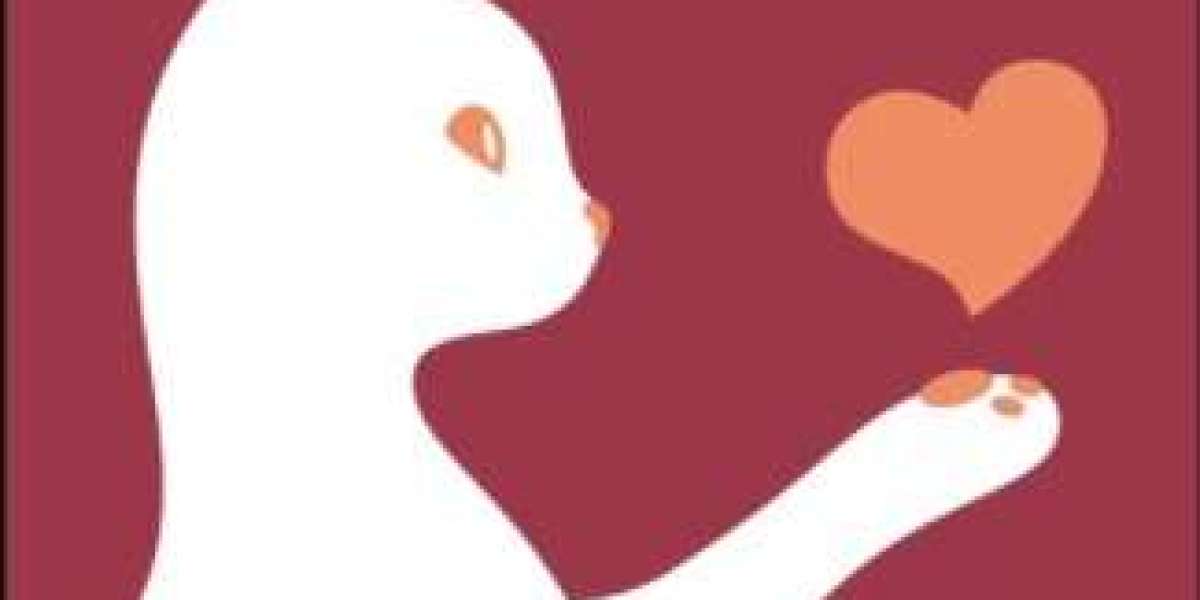 Buy Adult Toys Online: Common Mistakes to Avoid
