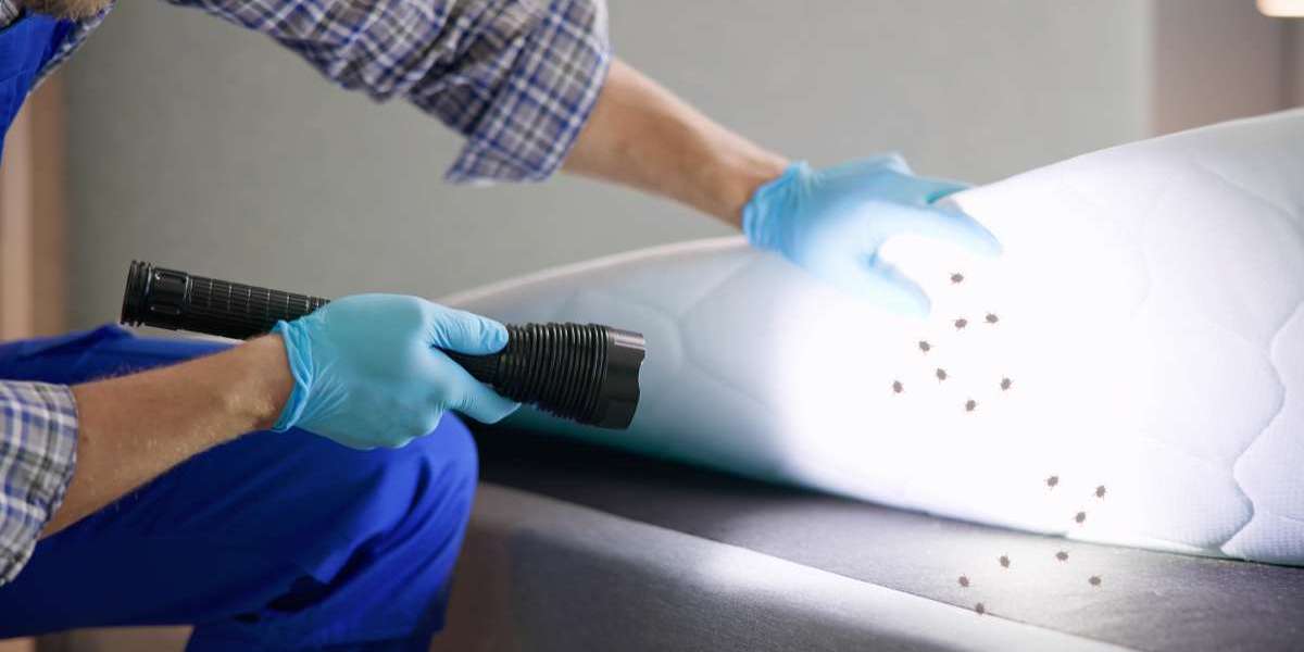 Understanding Professional Pest Management for Safer Living Spaces