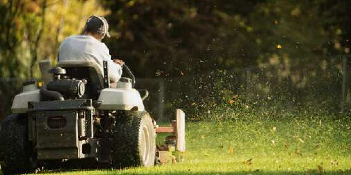 Lawn Care and Maintenance Services in Irving TX | Professional Lawn Care