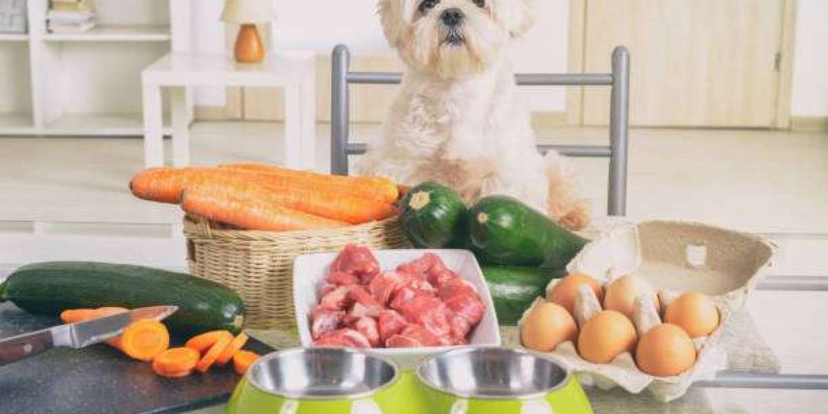 Premium Pet Nutrition Transforming Dog Care in Saudi Arabia