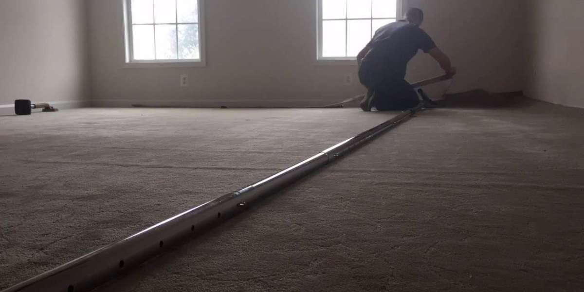 Understanding Professional Carpet Care and Restoration Solutions