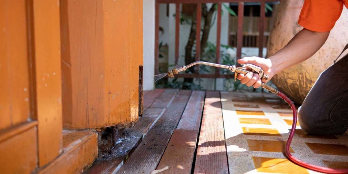 Understanding Professional Termite Protection for Homes