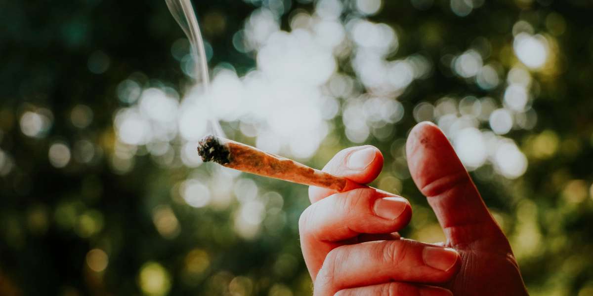 CBD Cigarette Maker: Technology, Uses, and Industry Overview