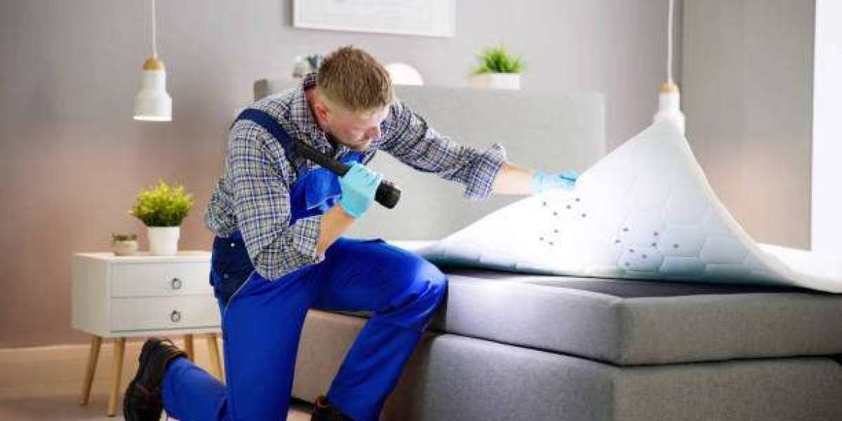 Bed Bug Removal Caledon: A Complete Guide to Restoring Comfort and Peace of Mind