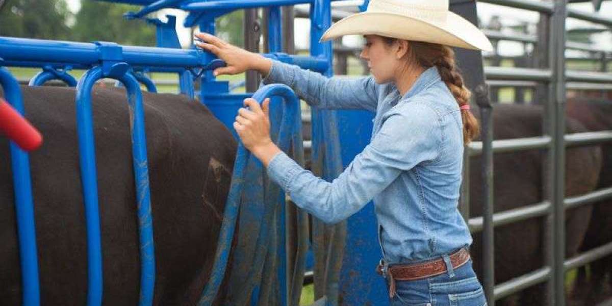 Cattle Squeeze Market Scope Reveals Why Modern Cattle Squeeze Systems Matter