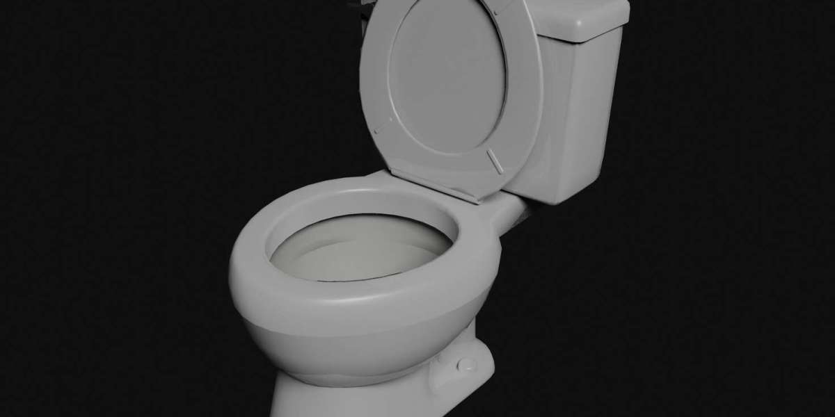 Toilet Seat Market Opportunities Expanding Growth Driven By Hygiene Innovation  Smart Bathroom Demand