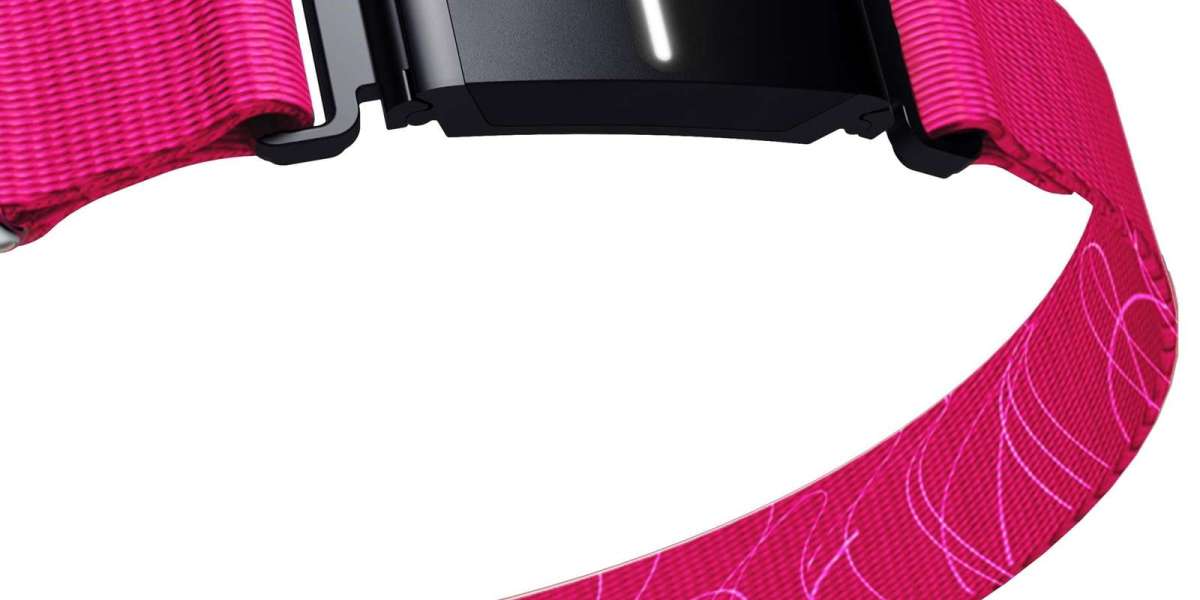 Smart Pet Collar Market Potential Driving Global Growth In Connected Pet Care Industry