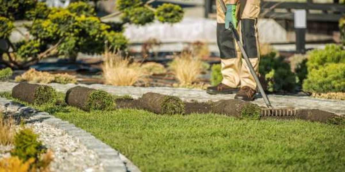 Creating Beautiful and Well-Maintained Outdoor Spaces