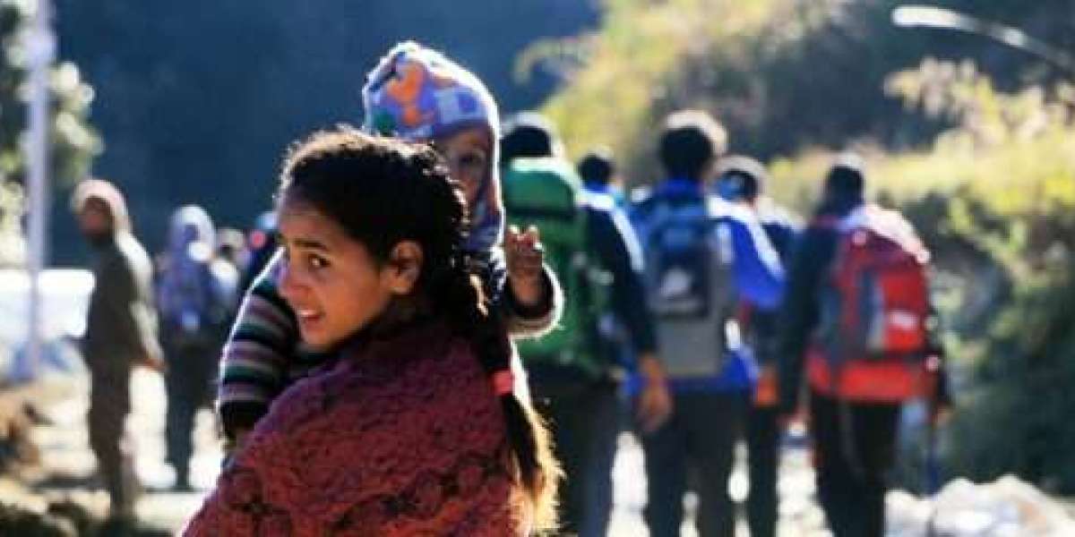 Protect Your Immigration Future with a Trusted Refugee Lawyer