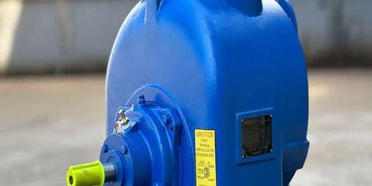 Cast Iron Self Priming Pump Industrial Project Solution