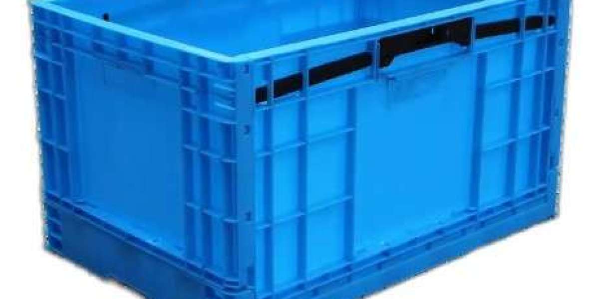 Hygienic Blow Molded Food Containers Meet Global Food Contact Safety Standards