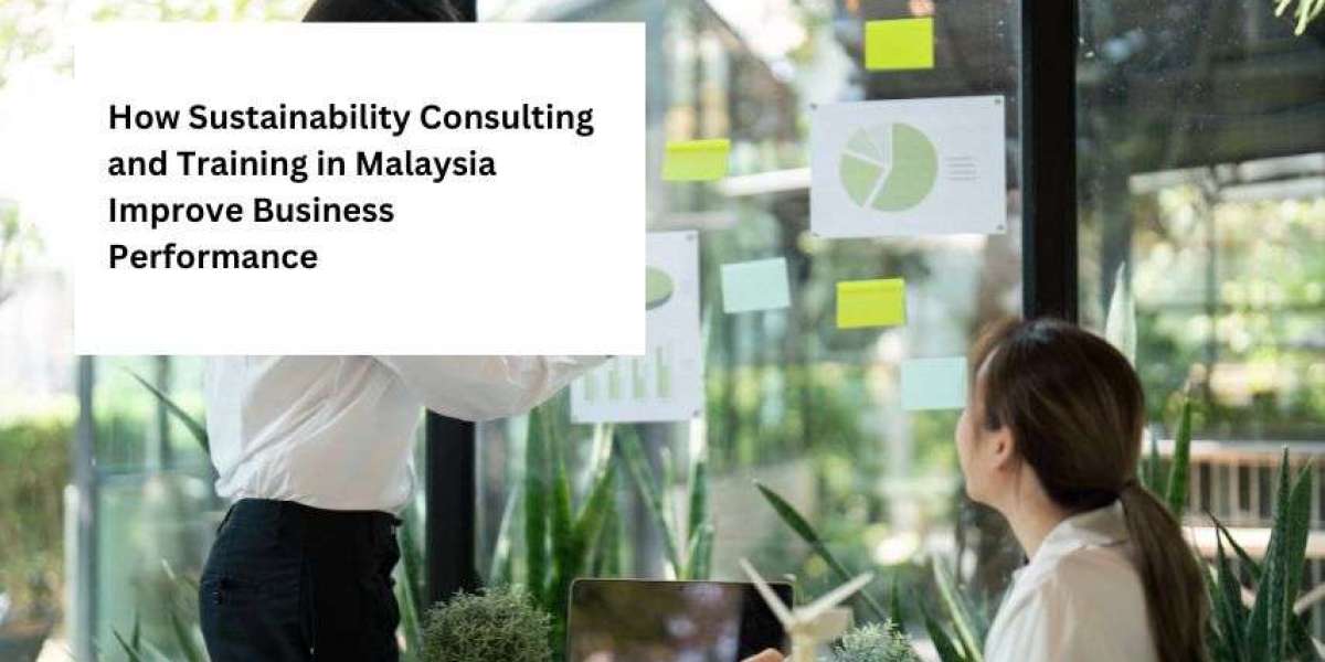 How Sustainability Consulting and Training in Malaysia Improve Business Performance