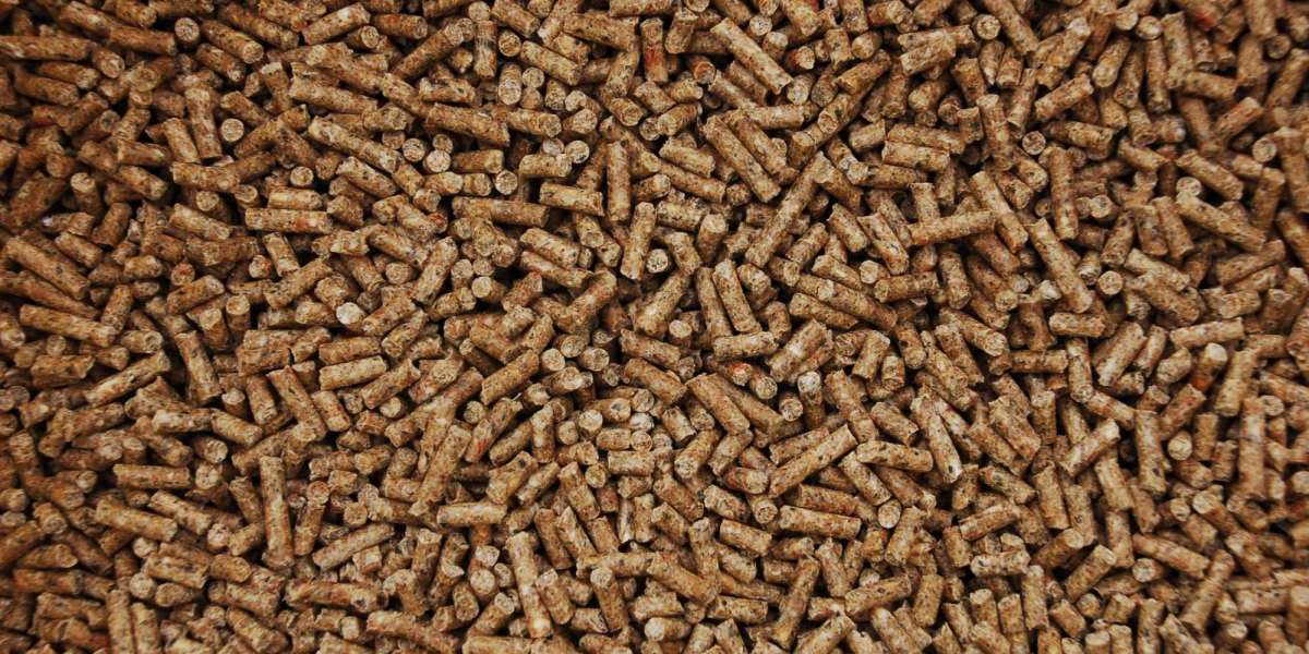 Animal Feed Probiotics Market Potential Driven by Sustainable Animal Nutrition