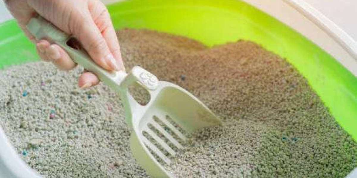 Cat Litter Market Winning Strategies for Sustainable Growth, Innovation, Consumer Loyalty, and Long-Term Competitive Suc