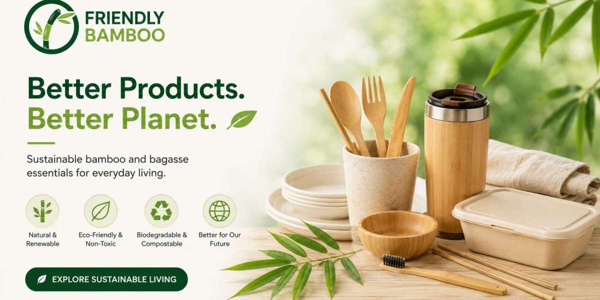 Eco-Friendly Disposable Tableware Buying Guide for Importers