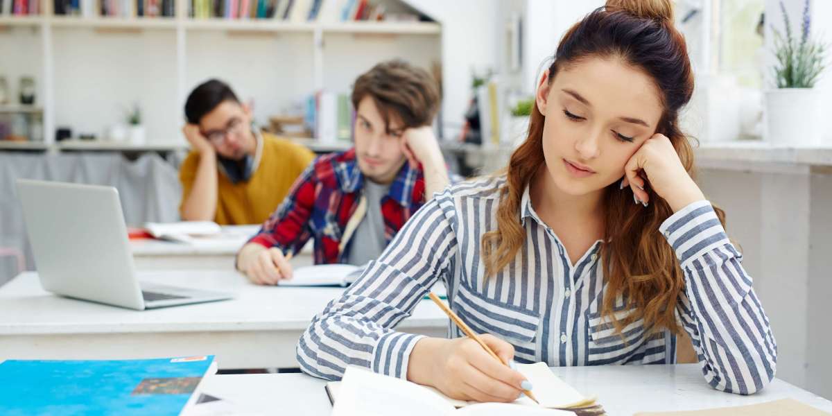 Why Should Students Choose Professional Web Design Assignment Help?