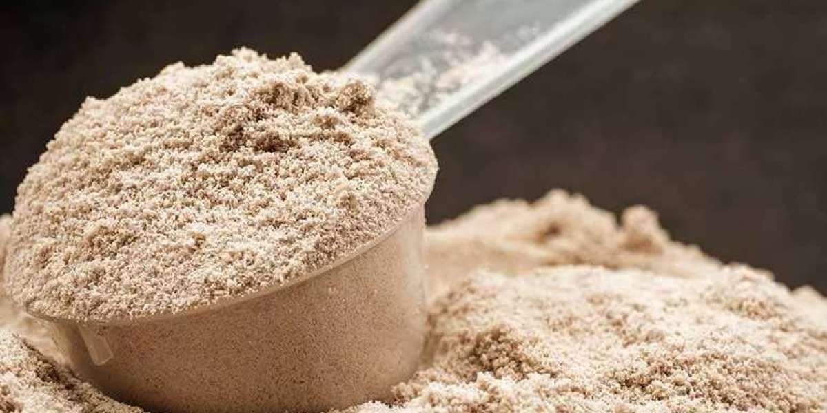 Rice Protein Market Threats: Key Challenges Shaping Industry Growth and Future Competition
