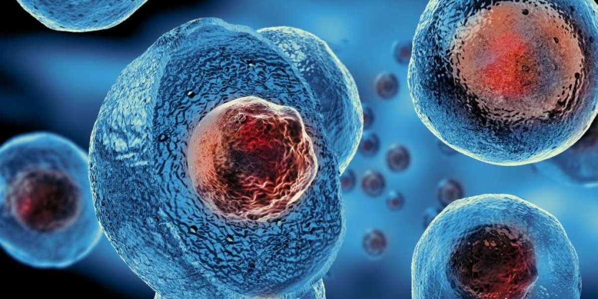 Adult Stem Cells and the Future of Regenerative Treatments