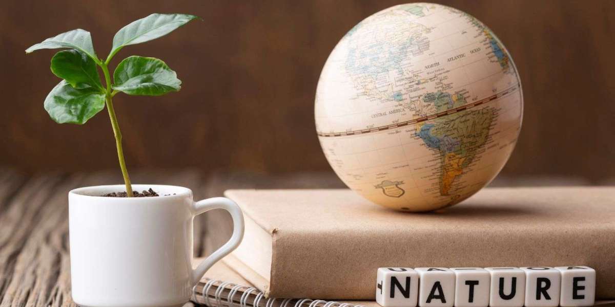 Ayurveda Diploma Courses Kerala