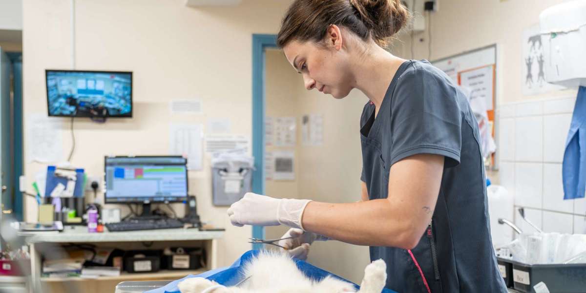 What Will Neutering a Dog Do to Behavior and Health?