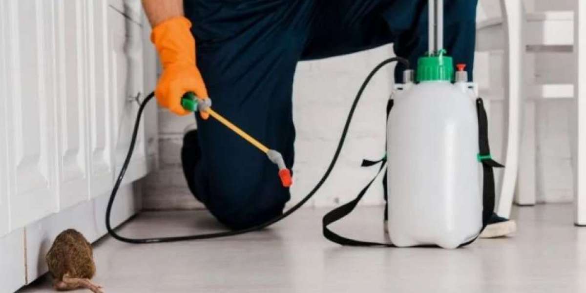 Rodent Control Brampton: Creating a Cleaner, Safer and More Comfortable Property
