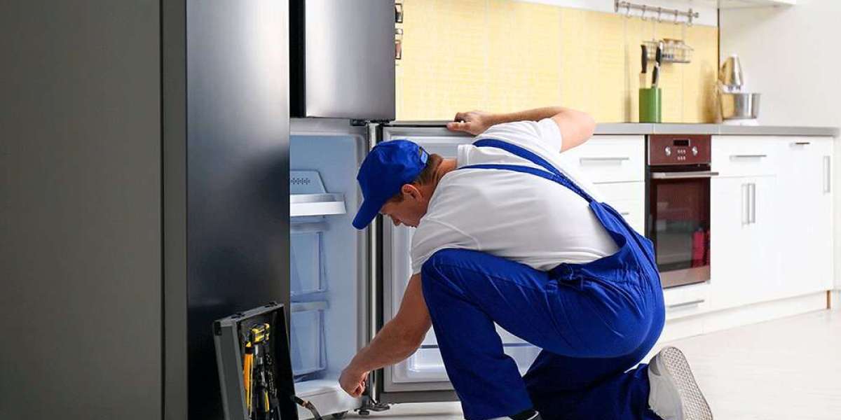 Keeping Food Fresh: A Practical Guide to Refrigerator Repair