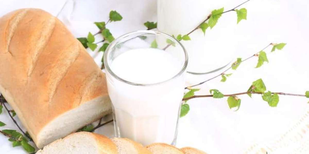 Denmark Plant-Based Dairy Market: Sustainable Living and Food Innovation Drive Consumer Demand