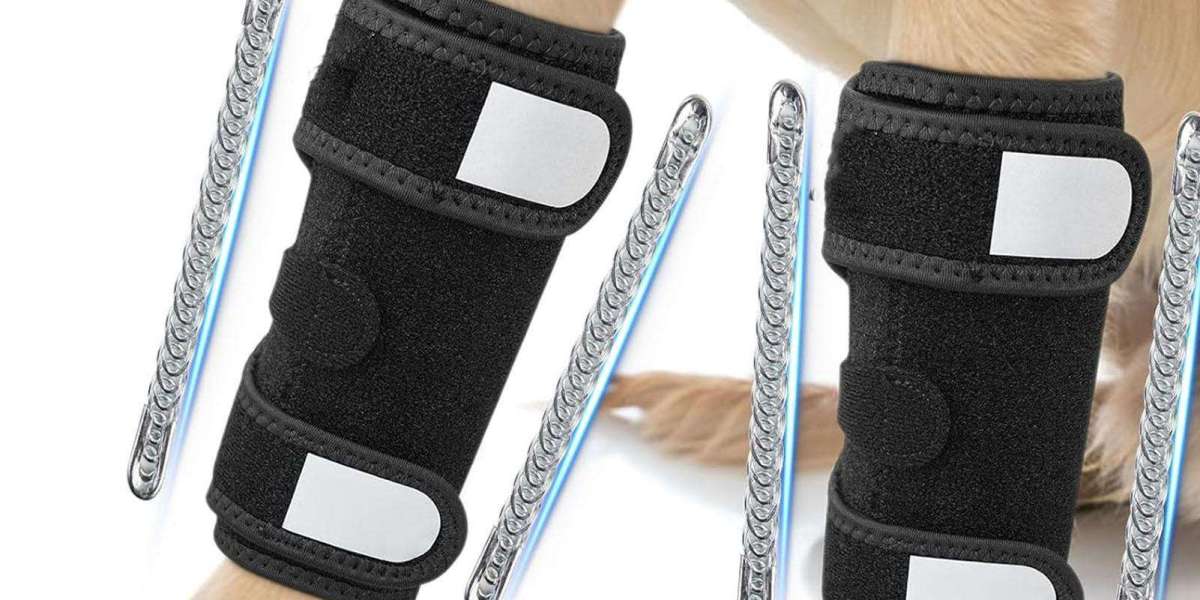 Veterinary Orthotics-Prosthetics Market Dynamics Shaping Industry Trends