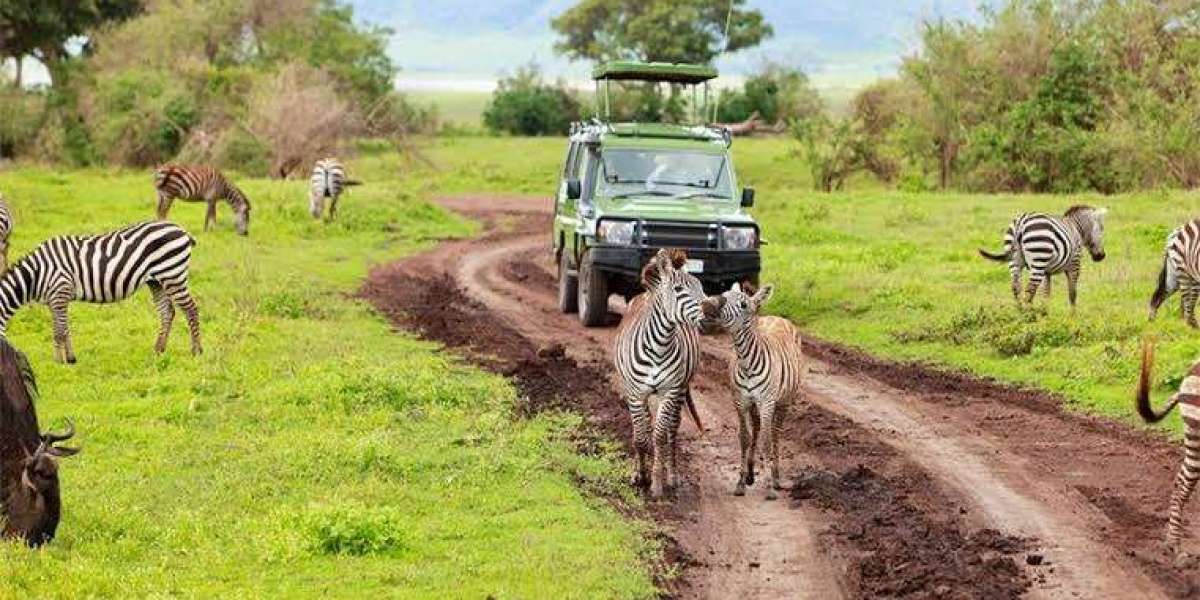 Best 7-Day Nyerere & Ruaha Safari: Ultimate Southern Tanzania Luxury Adventure