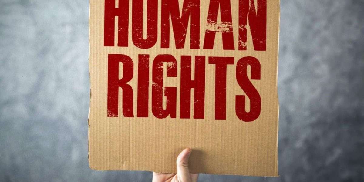 The Ultimate Legal Shield: Overriding the UK Immigration Rules in 2026