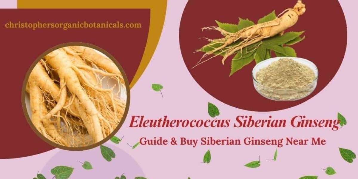 Eleutherococcus Siberian Ginseng - Guide & Buy Near Me