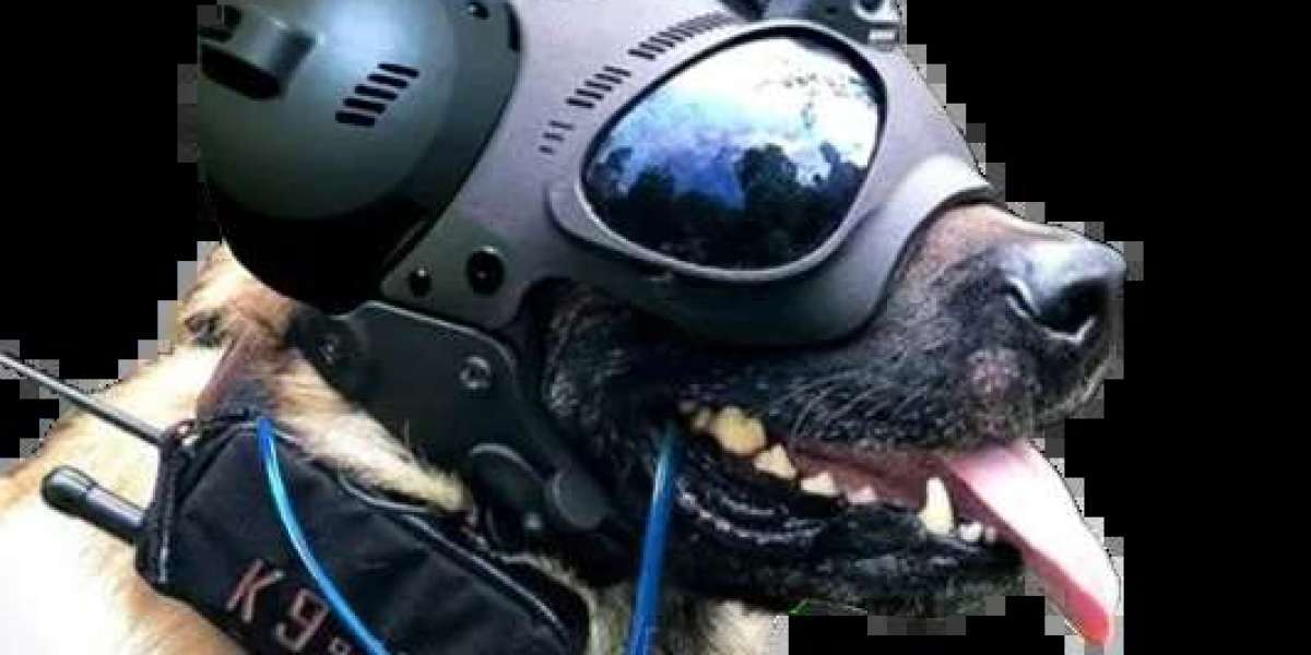Army Dog Centre Hafizabad and Army Dog Centre Sargodha: Training, Services and Importance of Working Dogs