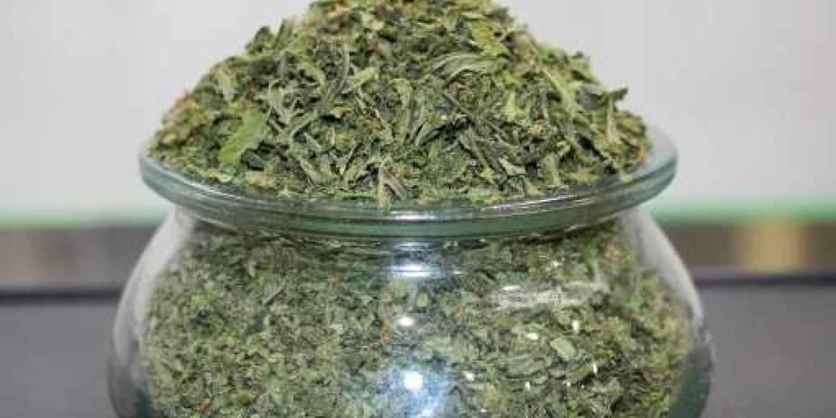Same Day Weed Delivery in Peel Region Fast & Reliable