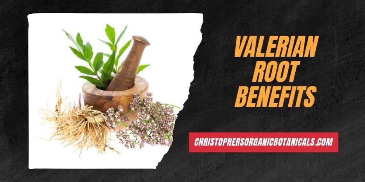 Valerian Root Benefits - What Are The Benefits Of Valerian Root?